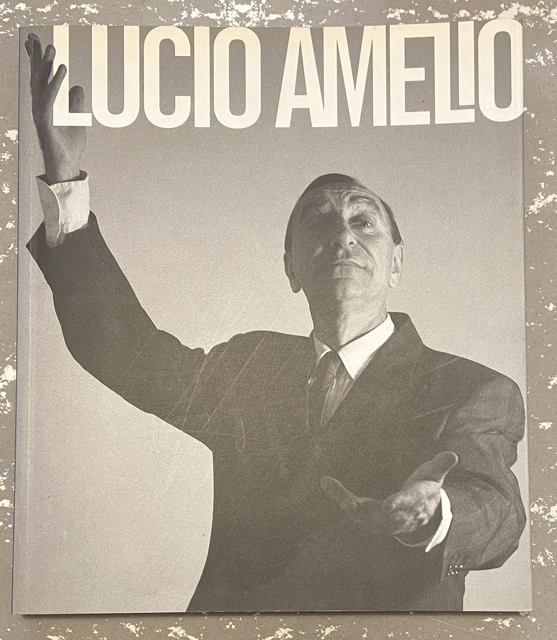 OMAGGIO A LUCIO AMELIO. Terrae Motus. Reggia di Caserta.