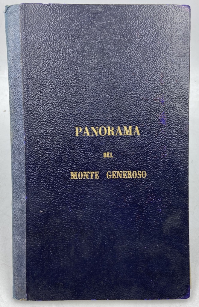 PANORAMA PRESO DAL MONTE GENEROSO - PANORAMA DU MONTE GENEROSO …