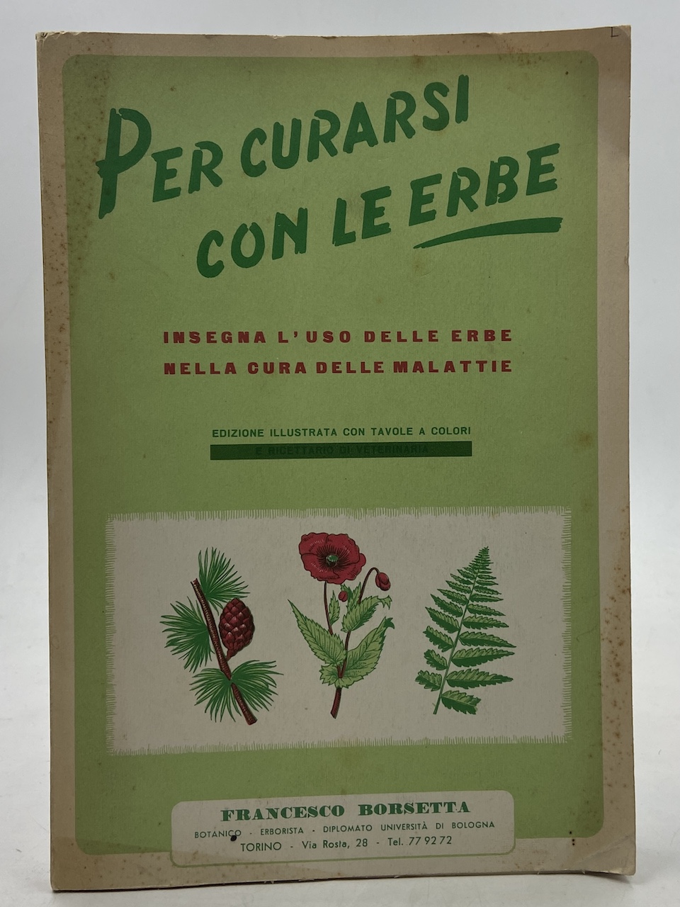 PER CURARSI CON LE ERBE. INSEGNA L’USO DI 163 ERBE …