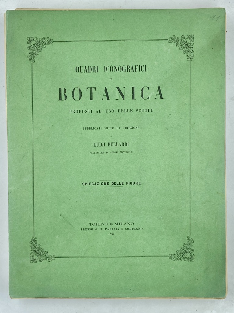 QUADRI ICONOGRAFICI DI BOTANICA PROPOSTI AD USO DELLE SCUOLE PUBBLICATI …