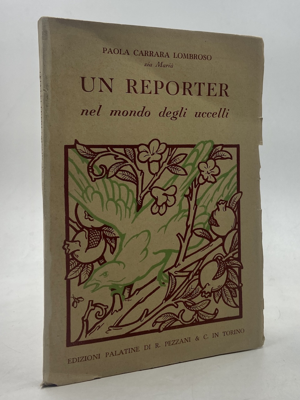 Un reporter nel mondo degli uccelli.