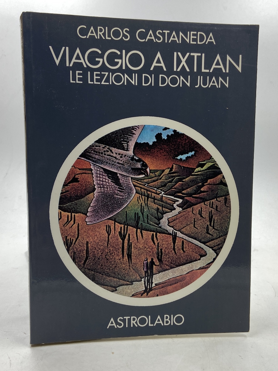 Viaggio a Ixtlan. Le lezioni di Don Juan.