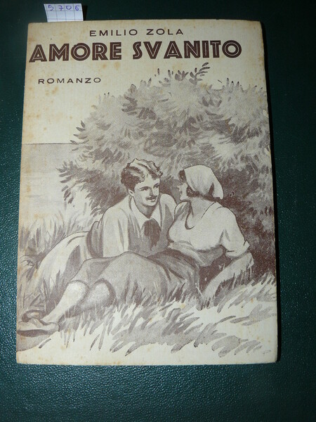 Amore svanito. Romanzo