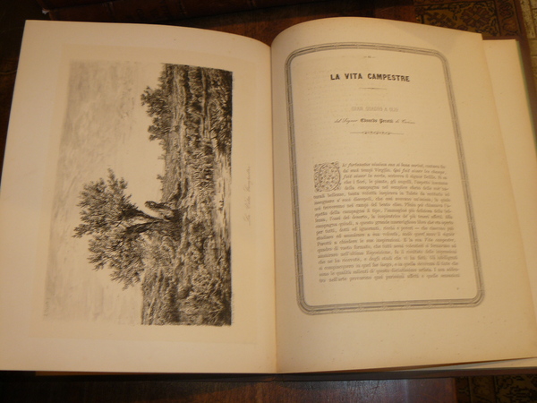 Album della pubblica esposizione del 1861 compilato da Luigi Rocca. …