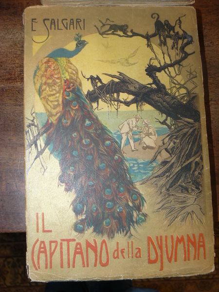 Il capitano della Dyumna. Avventure illustrate da 16 disegni di …