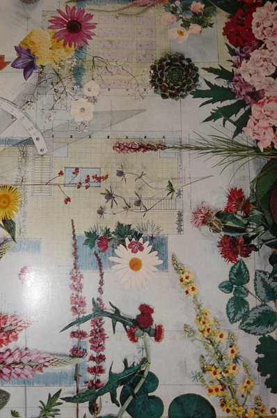 International photos. Band III. Herausgeber: Nikolaus Karpf