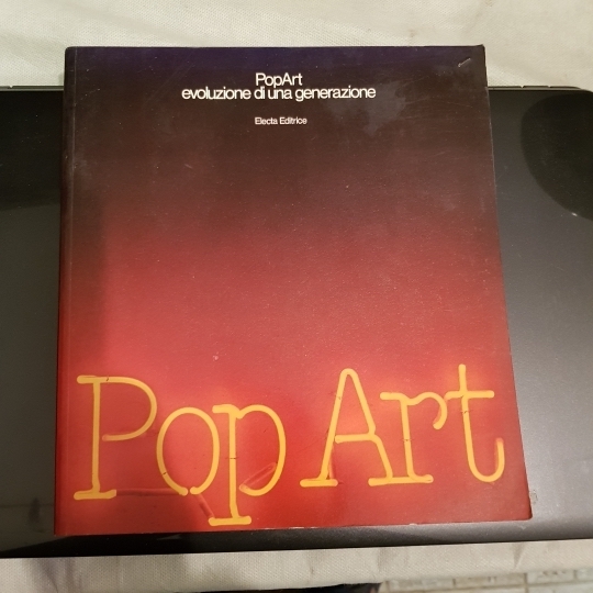 POP ART: EVOLUZIONE DI UNA GENERAZIONE