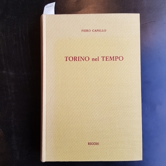 Torino nel tempo