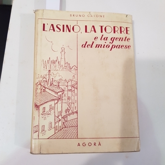L'asino, la torre e la gente del mio paese