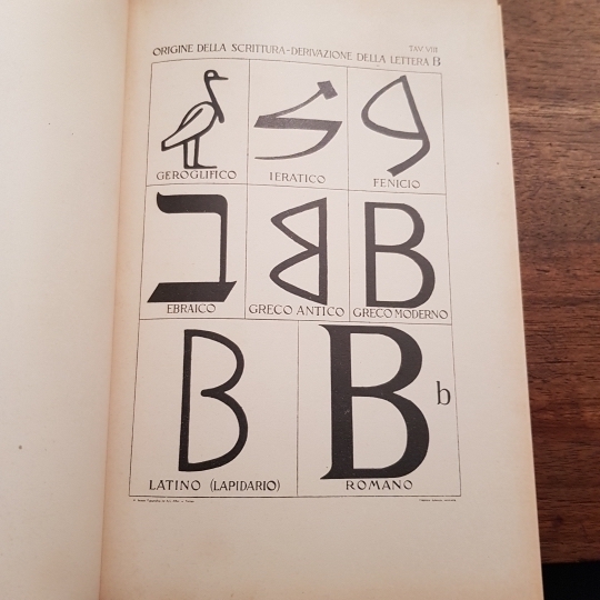 Origine della scrittura e derivazione morfologica dell'alfabeto