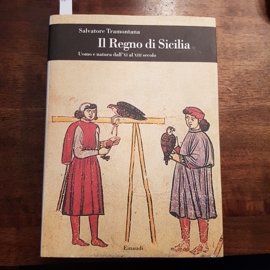 Il Regno di Sicilia. Uomo e natura dall'XI al XIII …