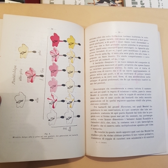 Sulle leggi della eredità. Lettura tenuta alla seduta comune delle …