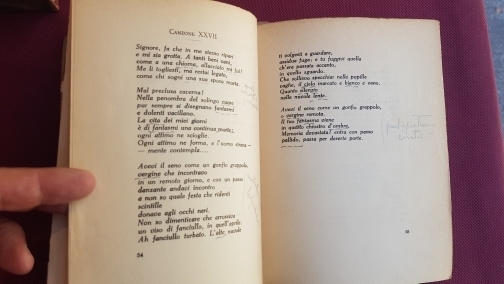 Il passo del cigno ed altri poemi con una prefazione …