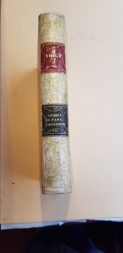 Storia di Papa Gregorio VII e de' suoi contemporanei