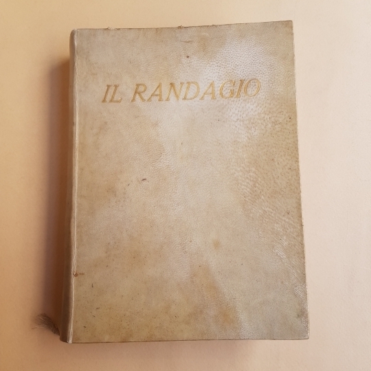 Il randagio