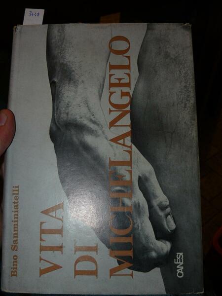 Vita di Michelangelo