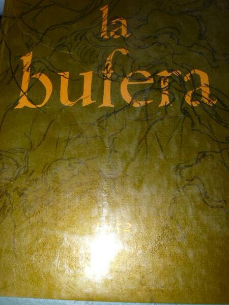 La Bufera. Romanzo