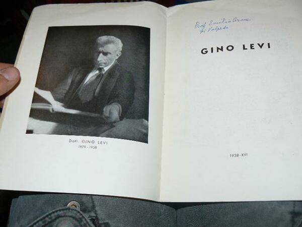 Gino Levi
