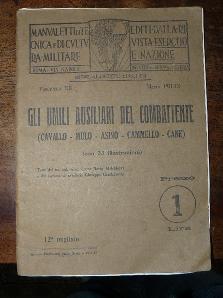 Gli umili ausiliari del combattente. (Cavalo – Mulo – Asino …