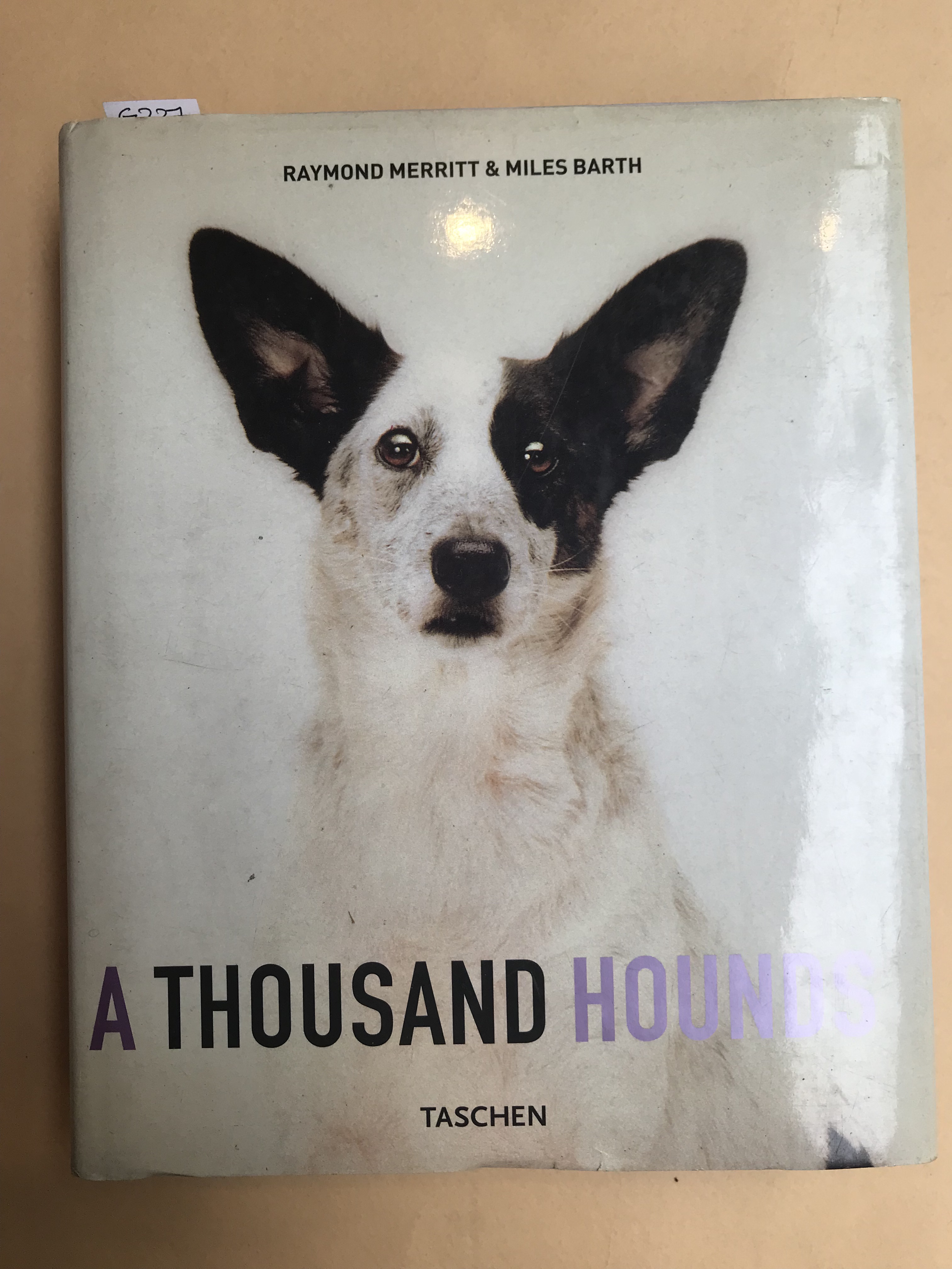 A thousand hounds. The presence of the Dog in the …