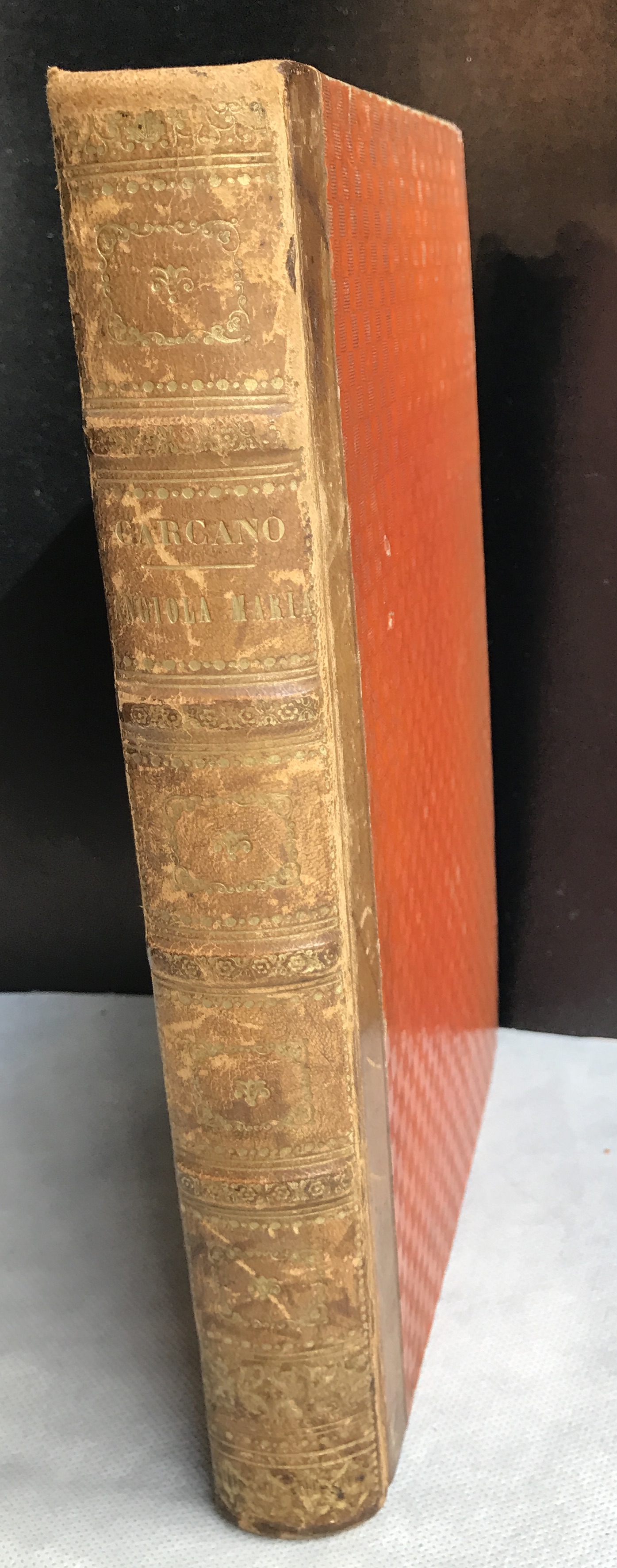 Angiola Maria. Storia domestica di Giulio Carcano e il manoscritto …