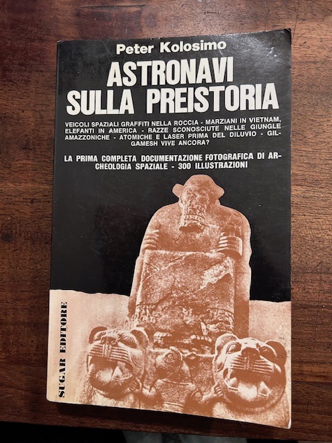 Astronavi sulla preistoria. Veicoli spaziali graffiti nella roccia, marziani in …