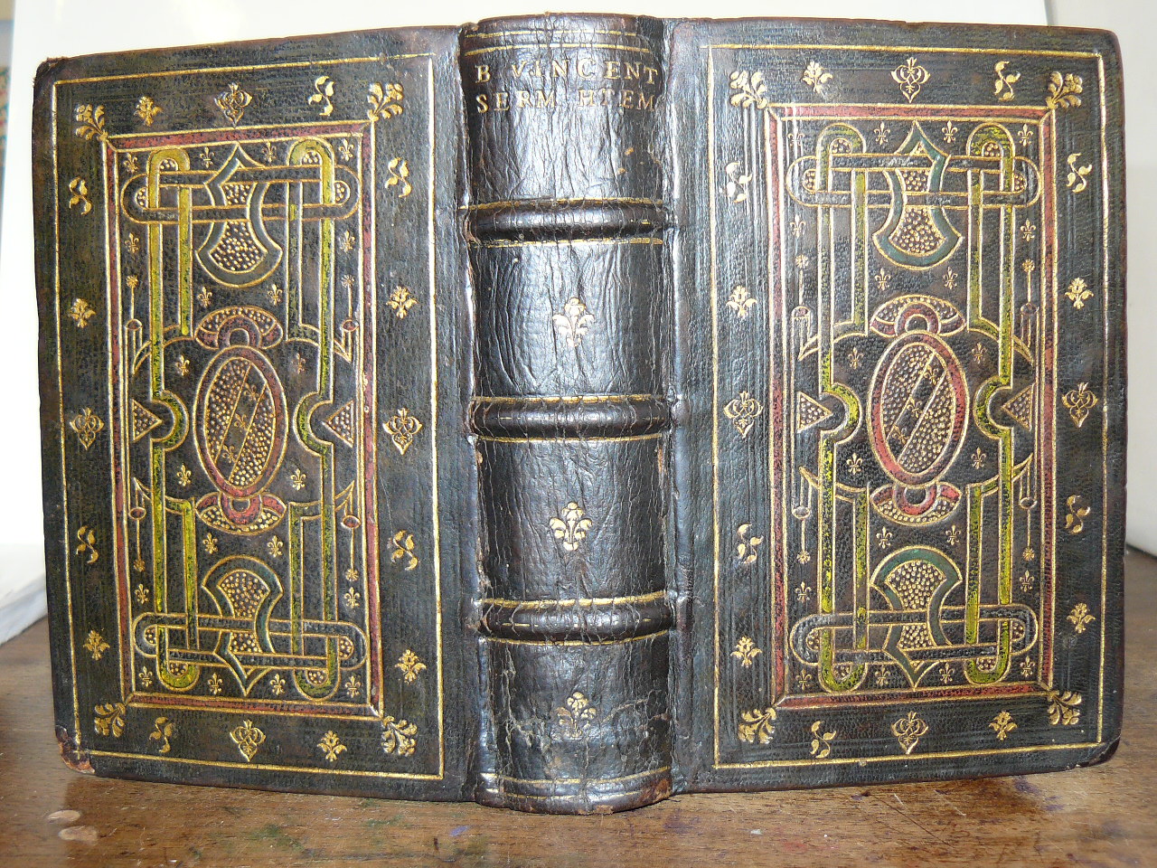 Beati Vincentij natione Hispani, . Sermones hyemales. Auctoris vitam, indicemque …