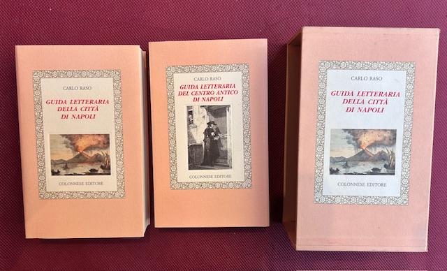 Guida letteraria del centro antico di Napoli. Segie: Guida letteraria …