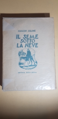 Il seme sotto la neve. Romanzo
