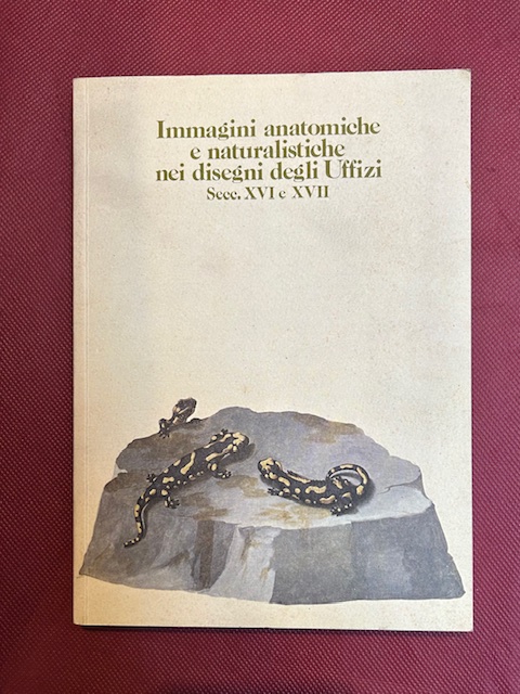 Immagini anatomiche e natiuralistiche nei disegni degli Uffizi secc. XVI …