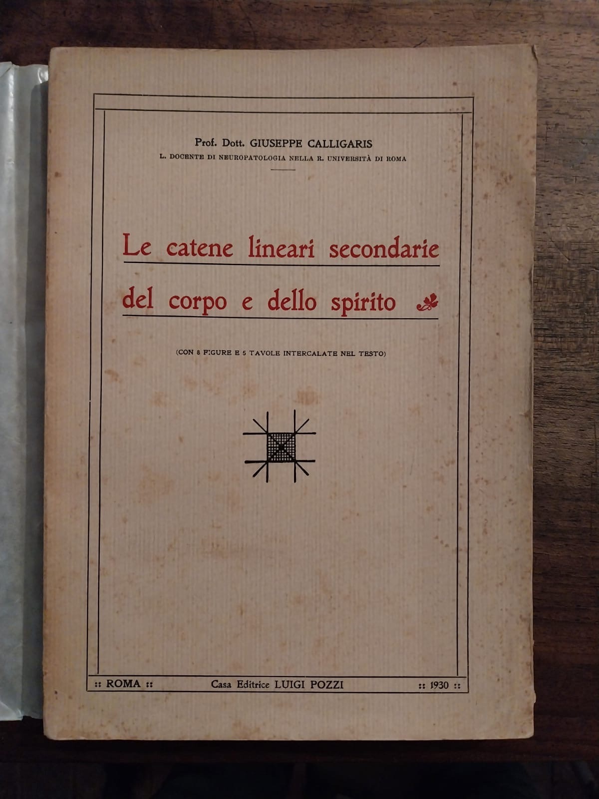 Le catene lineari secondarie del corpo e dello spirito.