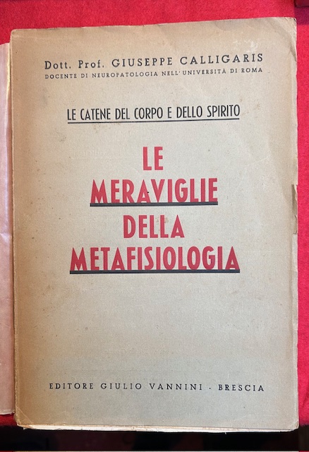 Le meraviglie della Metafisiologia. Le catene del corpo e dello …