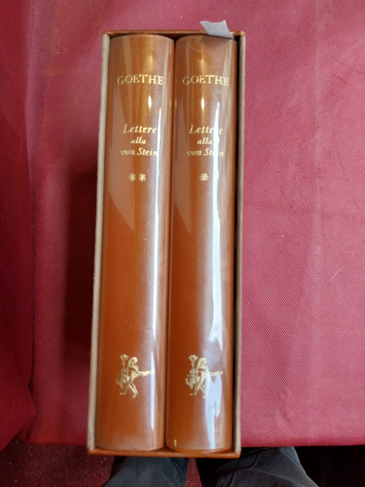 Lettere di Wolfgang Goethe alla Signora von Stein