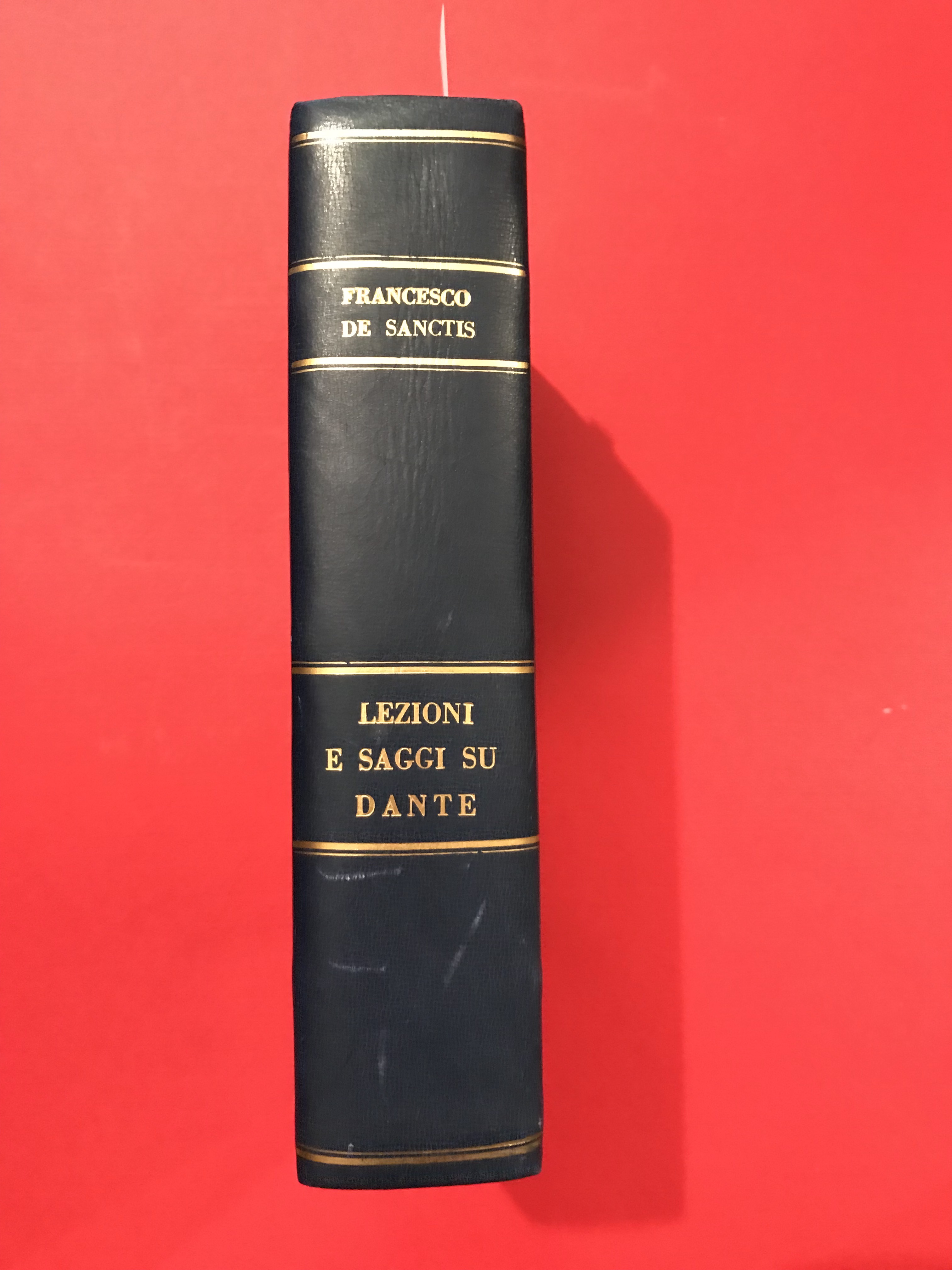 Lezioni e saggi su Dante. A cura di Sergio Romagnoli