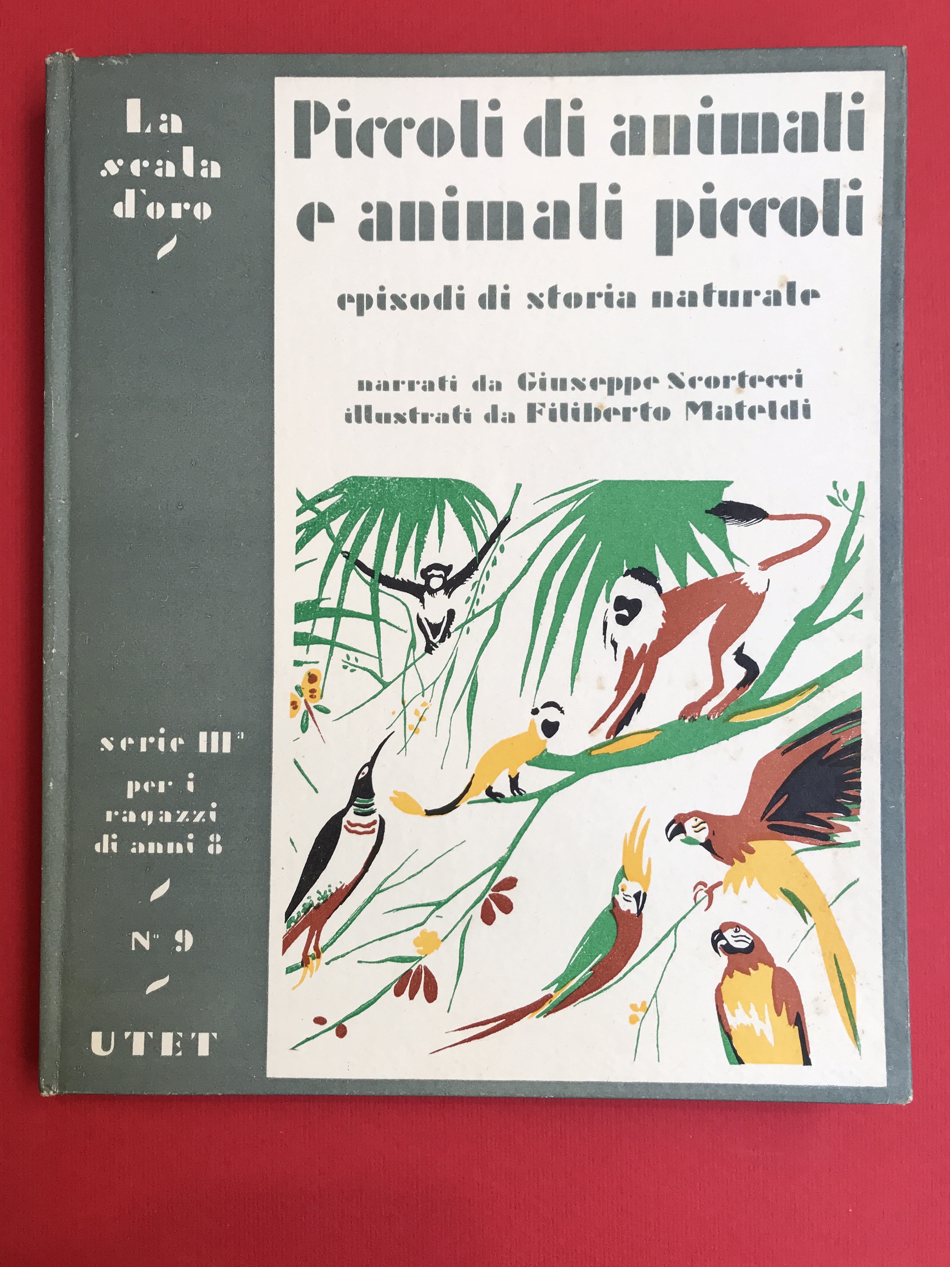 Piccoli di animali e animali piccoli. Episodi di storia naturale. …