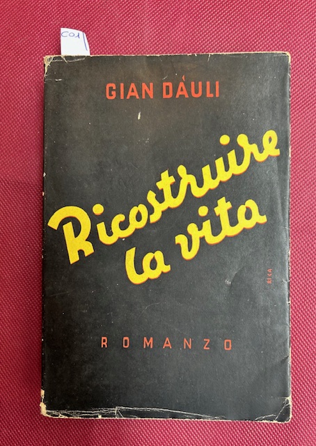 Ricostruire la vita. romanzo