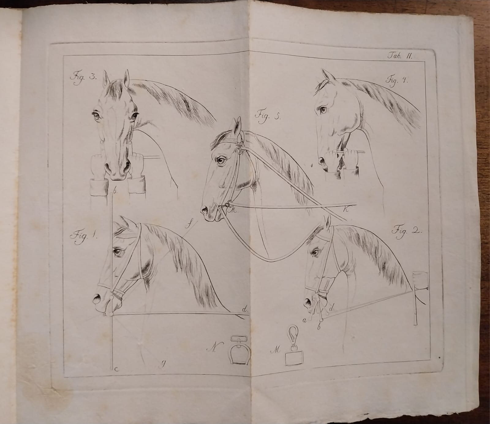 Sul morso più confacente al cavallo. Traduzione dal tedesco.