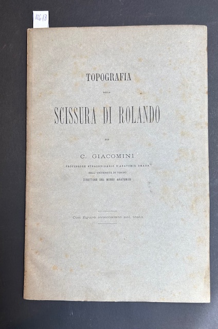 Topografia della scissura di Rolando