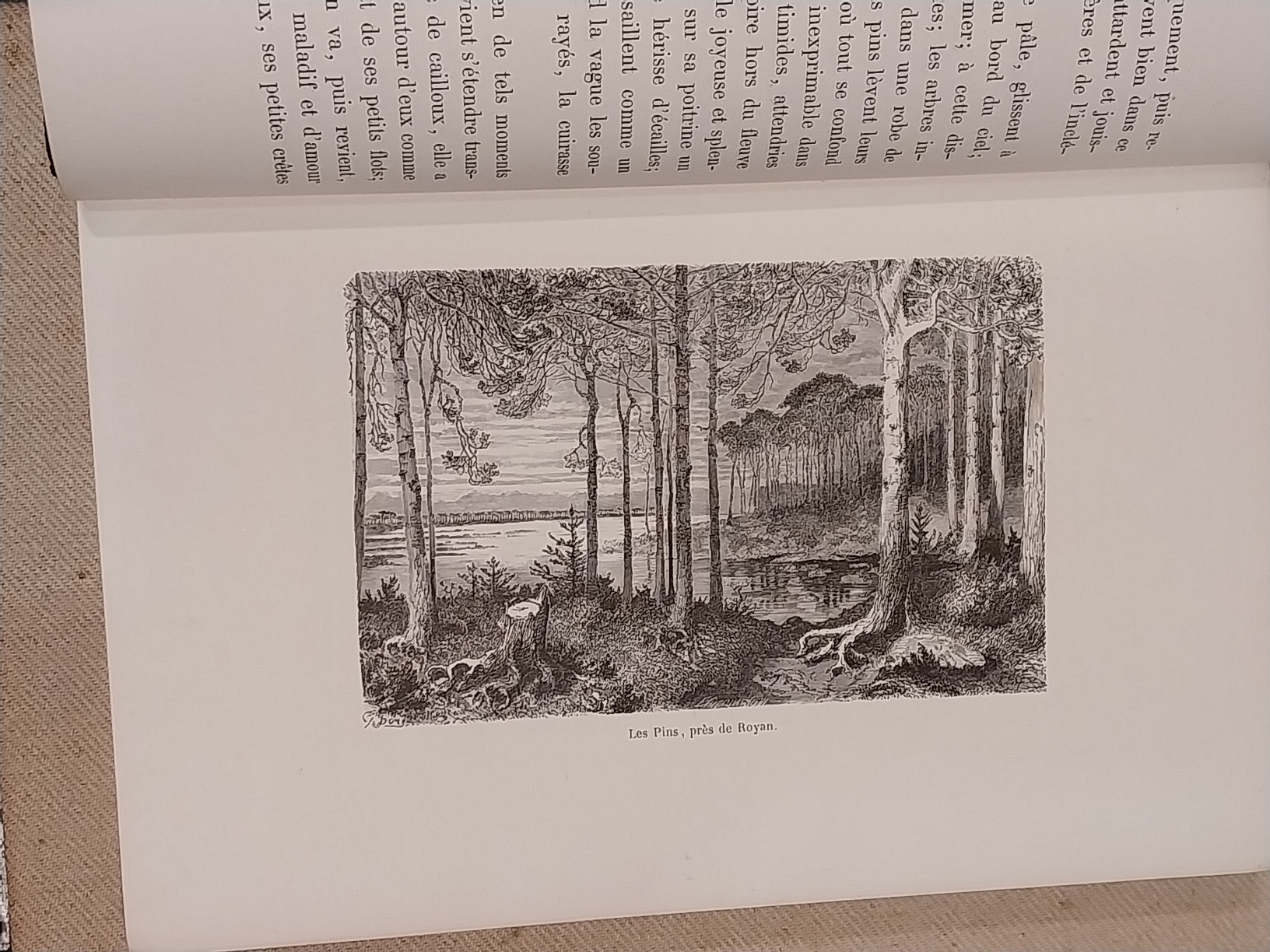 Voyage Aux Pyrenées. Troisième édition illustrée par Gustave Doré.