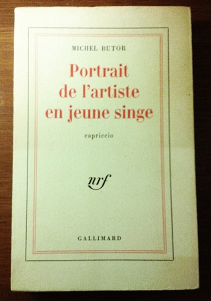 Portrait de l'artiste en jeune singe