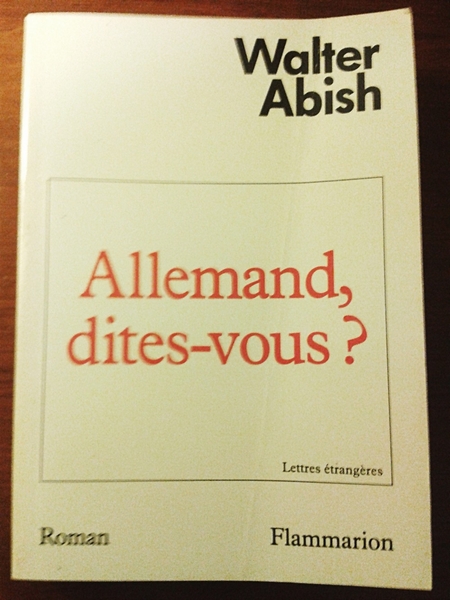 Allemand dites-vous? - roman