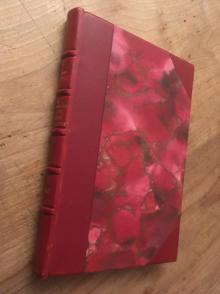 E Pfarrhüüs üs d'r guede alde Zytt, Gschichtle-n-un Erinnerunge