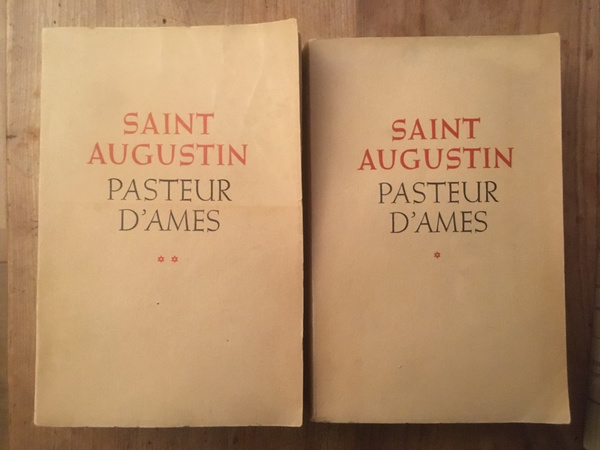 Saint Augustin Pasteur d'Ames (2 volumes)