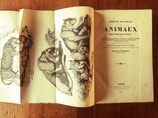 Histoire Naturelle des Animaux