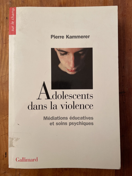 Adolescents dans la violence, Méditations éducatives et soins psychiques