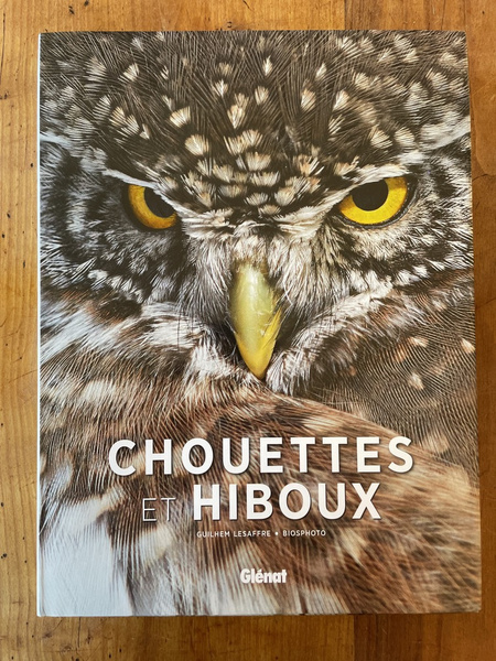 Chouettes et hiboux