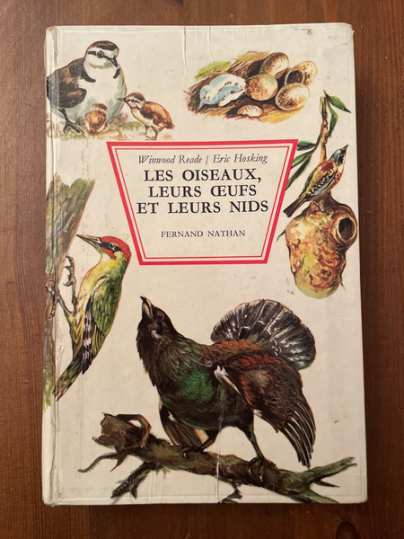 Les oiseaux, leurs oeufs et leurs nids, reproduction, oeufs et …