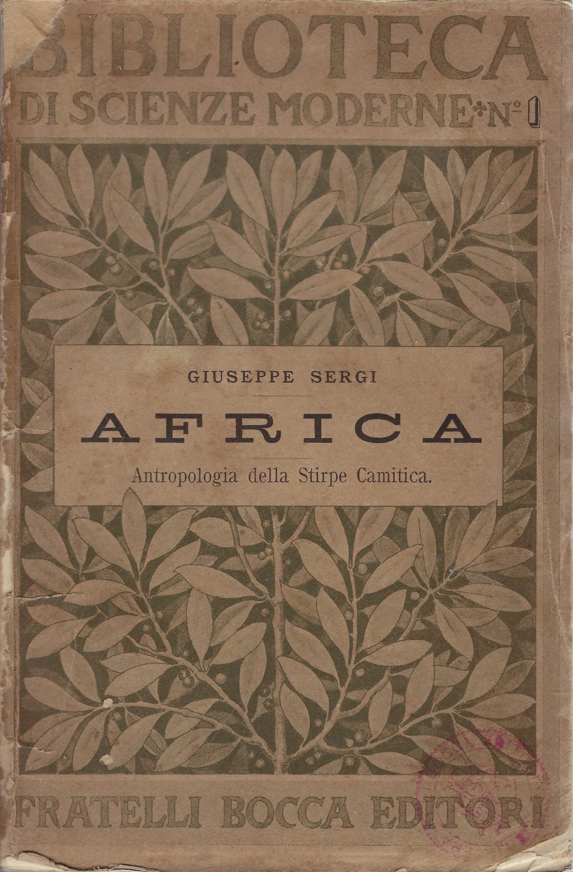 Africa, antropologia della stirpe camitica