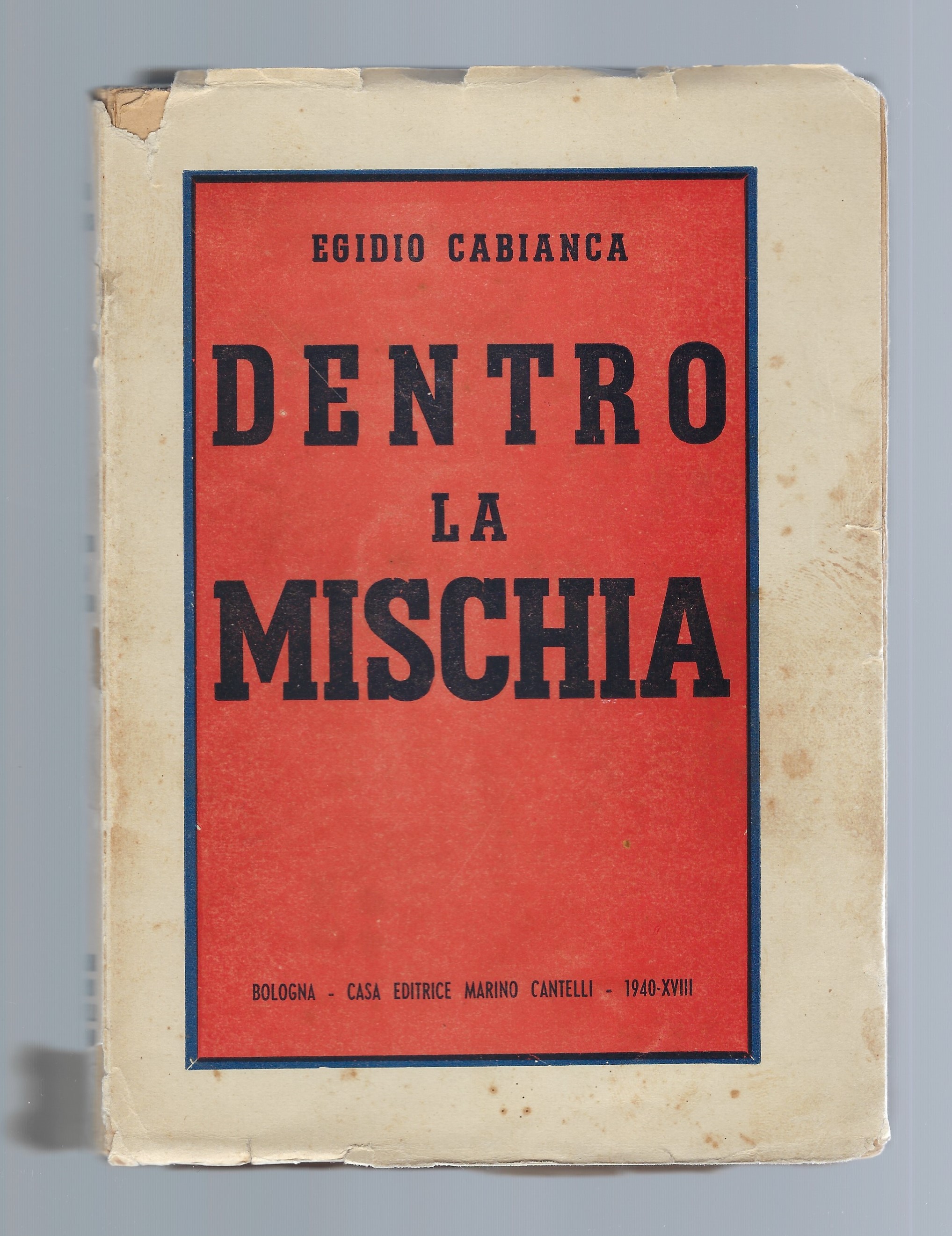 Dentro la mischia