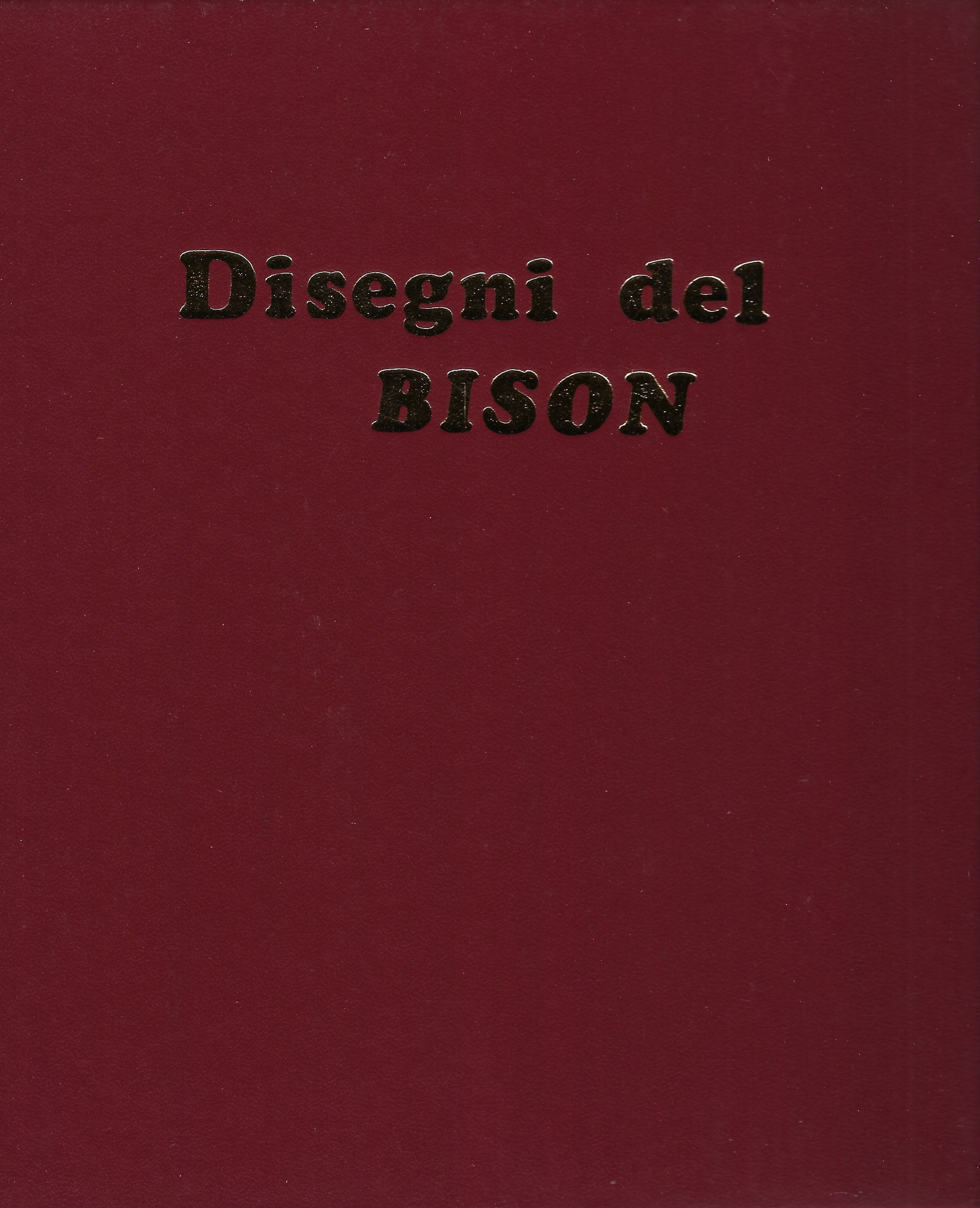 Disegni del Bison